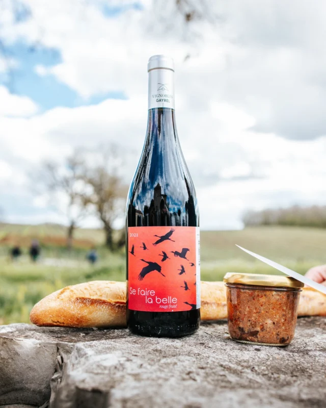 Le printemps arrive… Et si on se faisait la belle ? ☀️

Les jours rallongent, les rayons du soleil réchauffent doucement les vignes, les bourgeons commencent à pointer le bout de leur nez… 
Quoi de mieux qu'un moment d’évasion avec l'une de nos cuvées pépites ?

🍷 Se Faire la Belle, c'est un harmonieux assemblage de notre cépage star local, le Braucol, et de Gamay 
🍓 Une cuvée aussi gourmande et fruitée que les premières gariguettes de saison 
🥖 Le compagnon parfait pour les apéritifs vignerons

Alors, prêt(e) à vous faire la belle ? 😉

#Printemps #SeFaireLaBelle #VinsGaillac #VignoblesGayrel #WineAndPicnic #VinsEtMomentsPartagés

L'abus d'alcool est dangereux pour la santé, à consommer avec modération.