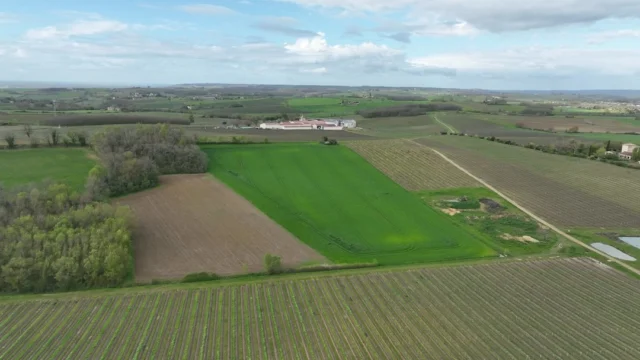 🎥 Prenez de la hauteur et découvrez les paysages qui façonnent nos vins ! 

Le vignoble de Gaillac, ce n’est pas seulement une appellation : c’est une mosaïque de terroirs, où chaque parcelle raconte une histoire unique.

Saviez-vous que nos vignes poussent sur différents types de sols ?
🔸 Les coteaux argilo-calcaires : Des collines qui offrent des vues magnifiques sur la vallée 🌄.
🔸 Les plateaux calcaires : Parfaits pour une balade au grand air avec un pique-nique improvisé. 
🔸 Les terrasses alluviales : Où l’on croise parfois un lapin ou un faisan entre les rangs de vignes ! 🐇

💬 Quel est votre terroir préféré pour un verre de Gaillac ? Dites-le-nous en commentaire ! 👇

#VignoblesGayrel #TerroirDeGaillac #VinsAuthentiques #DroneView #WineLovers #VinsDeTerroir