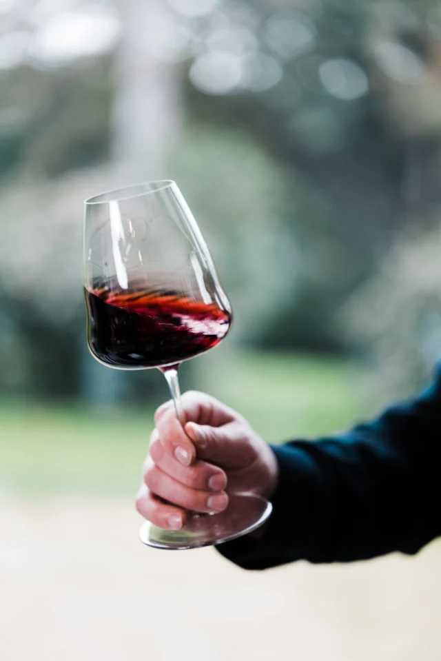 Connaissez-vous le Braucol ? 🍇 

Ce cépage local offre des vins rouges intenses aux arômes de fruits noirs et d’épices. En monocépage ou en assemblage, découvrez cette pépite du terroir de Gaillac avec les vins du Dolmen, ou Vigné Lourac Terrae Veritas 

#CépagesDeGaillac #Braucol #VinsDeCaractère